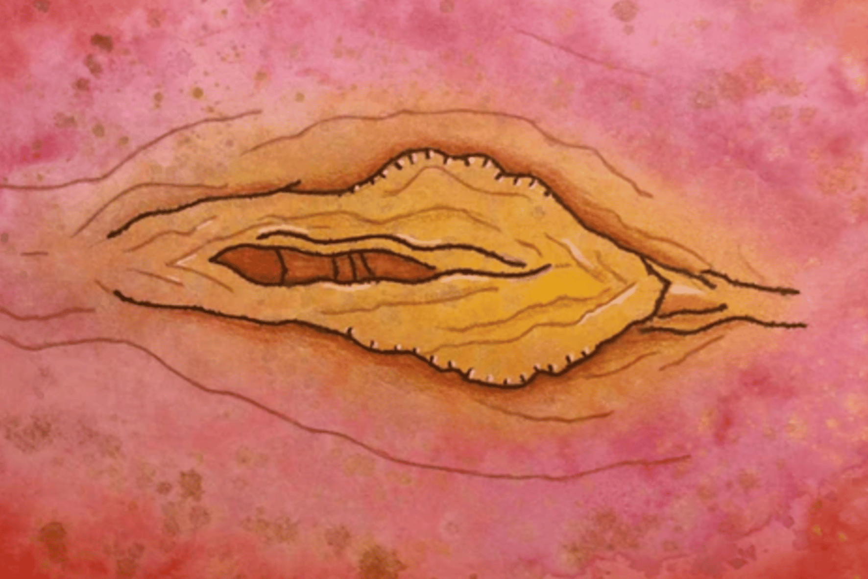 Is there such a thing as the perfect vulva? Blog Mme LOvary